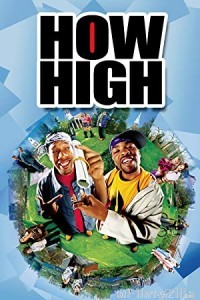 How High (2001) Hindi Dubbed Movie